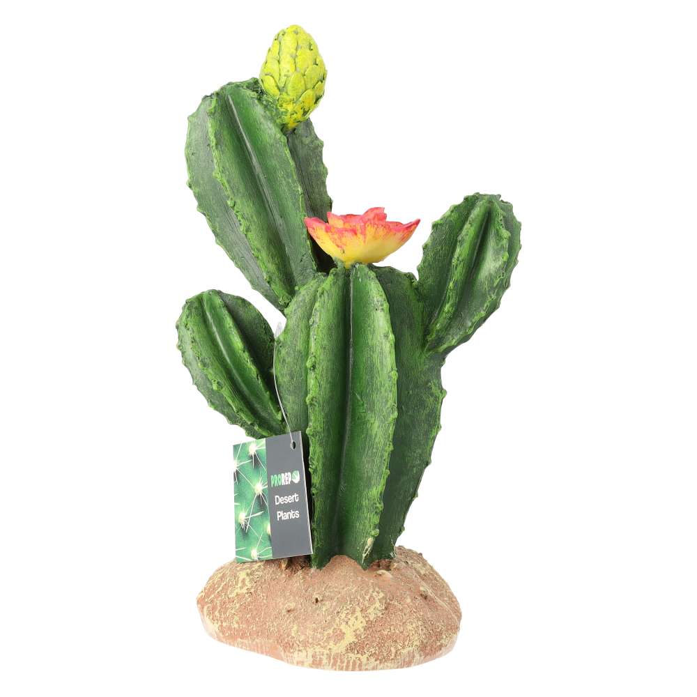 ProRep Resin Flowering Cactus