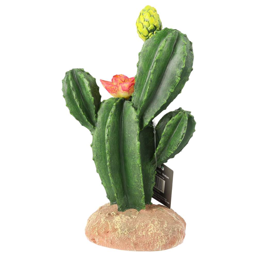ProRep Resin Flowering Cactus