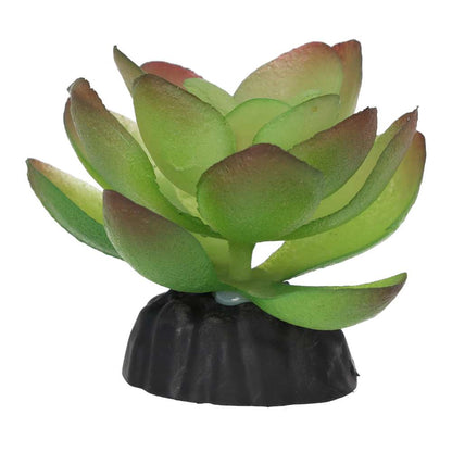 ProRep Artificial Echiveria Plant