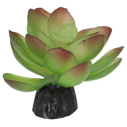 ProRep Artificial Echiveria Plant