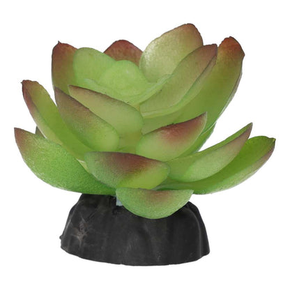ProRep Artificial Echiveria Plant