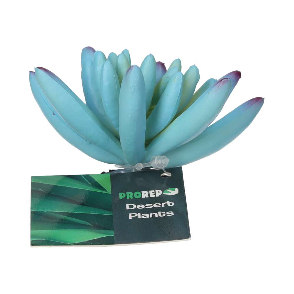 ProRep Artificial Sedum Plant Blue