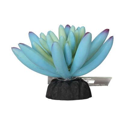 ProRep Artificial Sedum Plant Blue