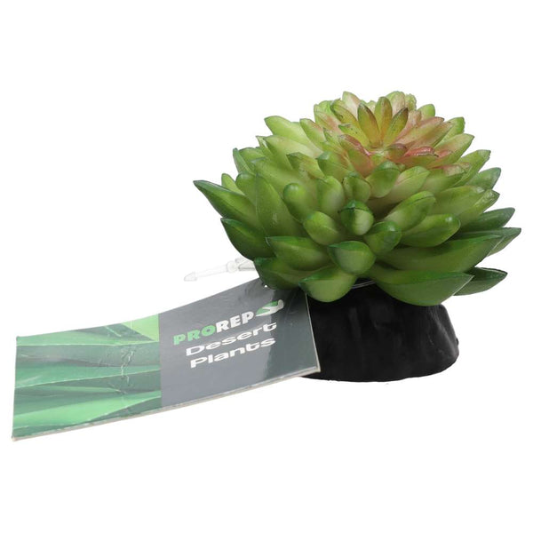 ProRep Artificial E Vanvlietii Plant