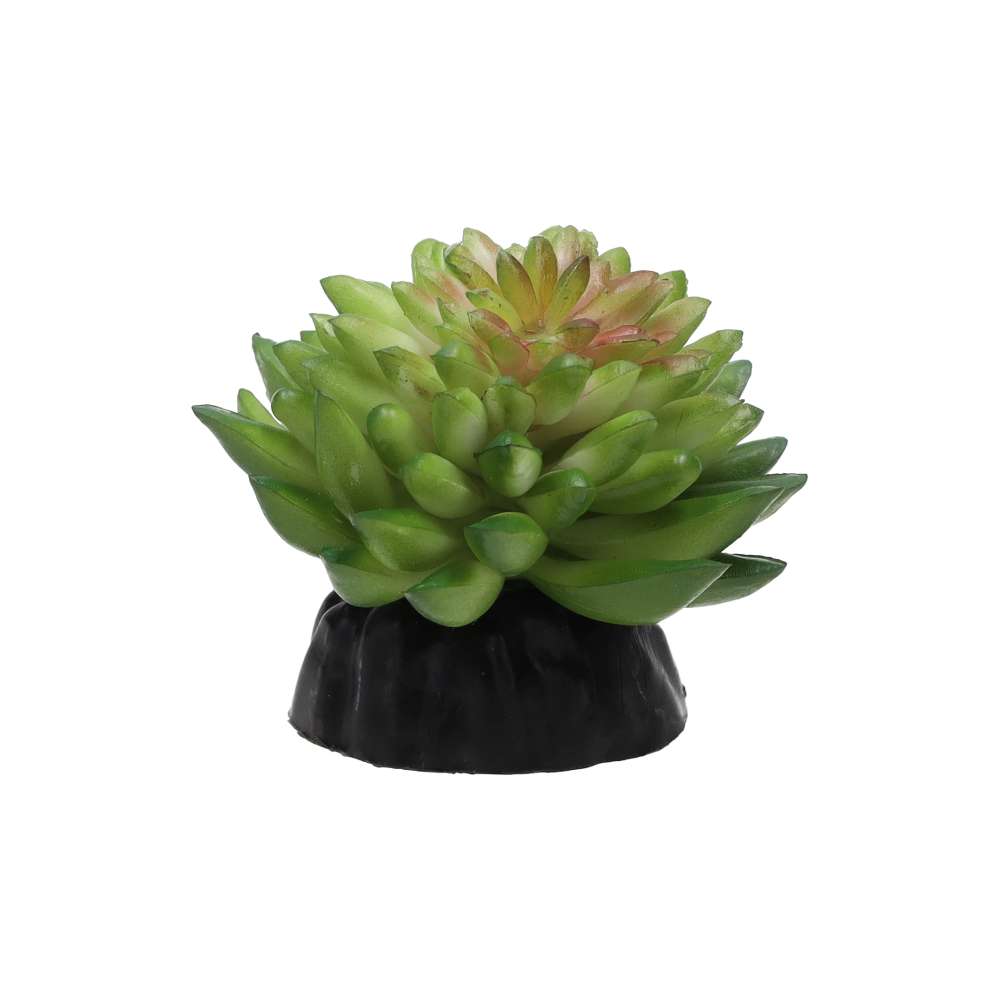 Euphorbia vanvlietii Artificial Desert Plant 10cm Vivarium