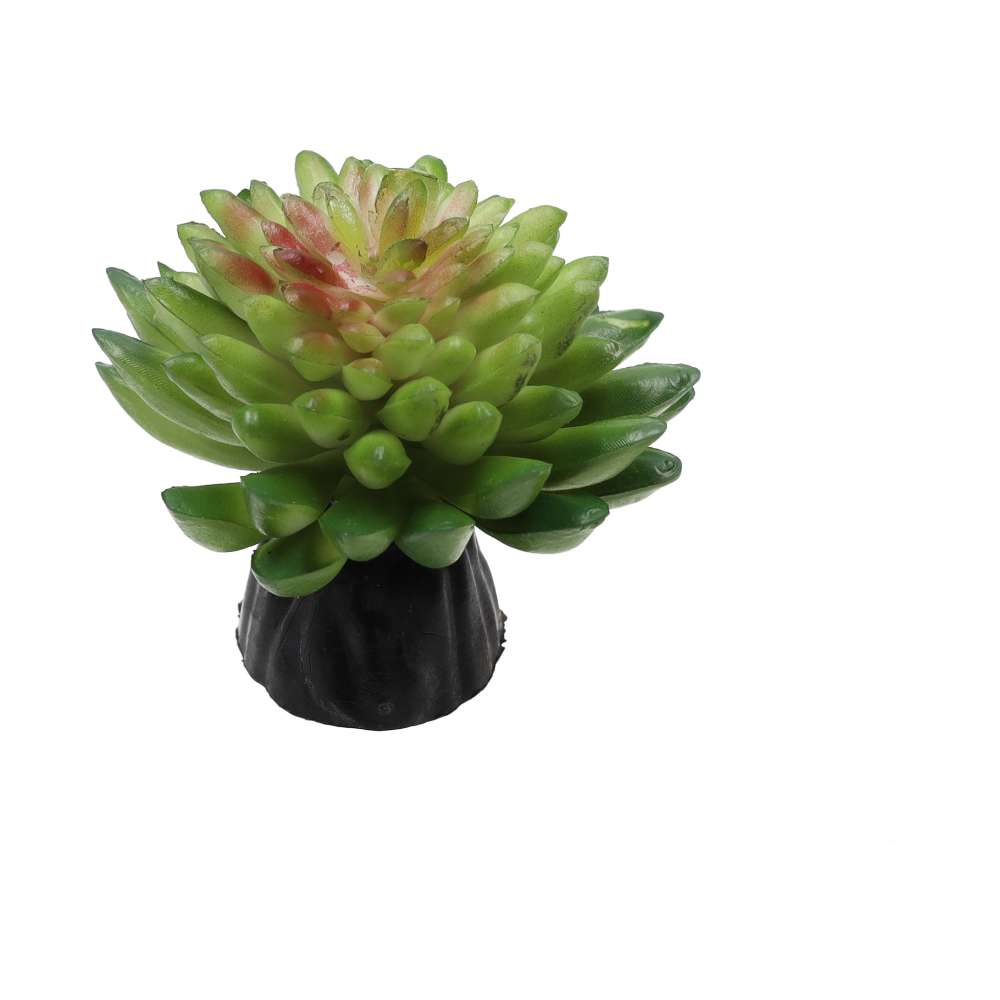 Euphorbia vanvlietii Artificial Desert Plant 10cm Vivarium