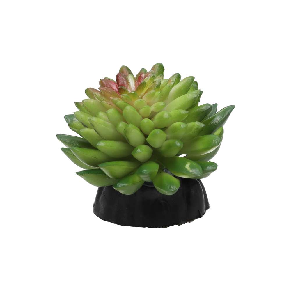 Euphorbia vanvlietii Artificial Desert Plant 10cm Vivarium
