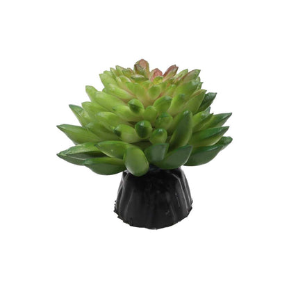 Euphorbia vanvlietii Artificial Desert Plant 10cm Vivarium