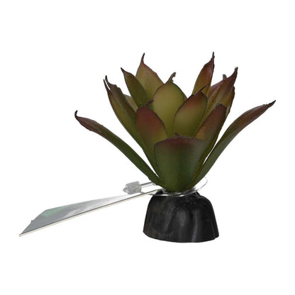 ProRep Artificial Aeonium Plant