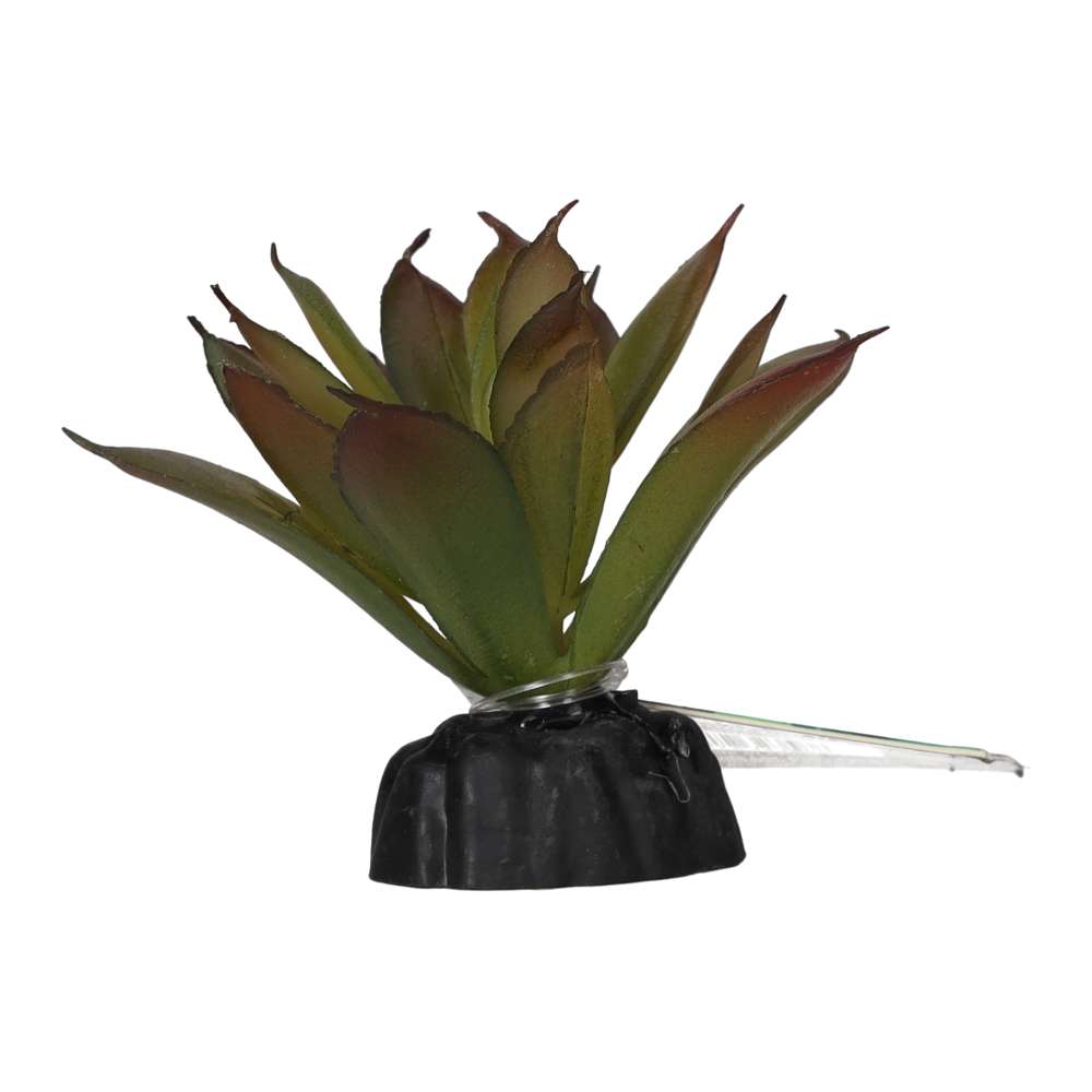 ProRep Artificial Aeonium Plant