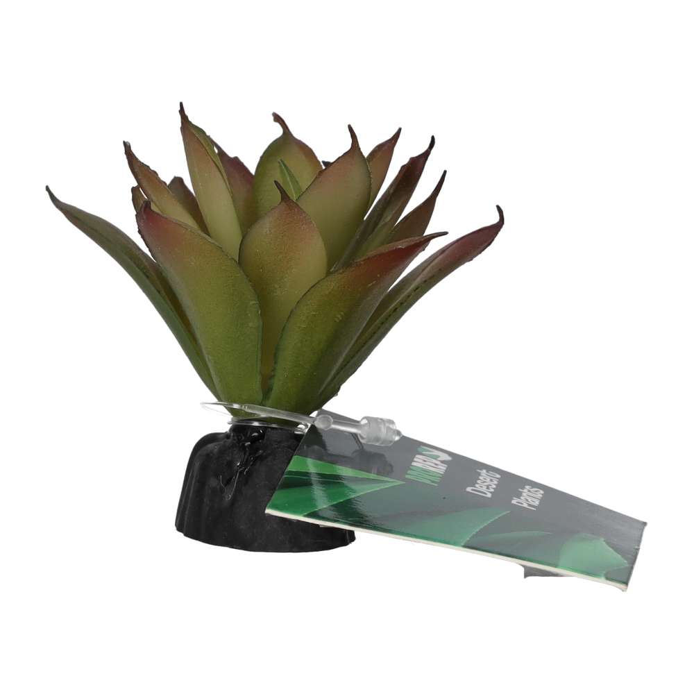 ProRep Artificial Aeonium Plant