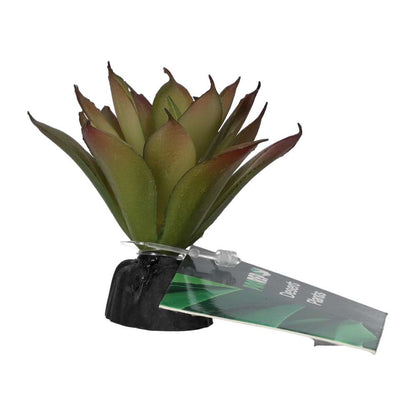 ProRep Artificial Aeonium Plant