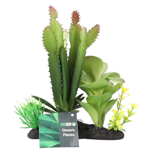 ProRep Artificial Euphorbia Plant on Log