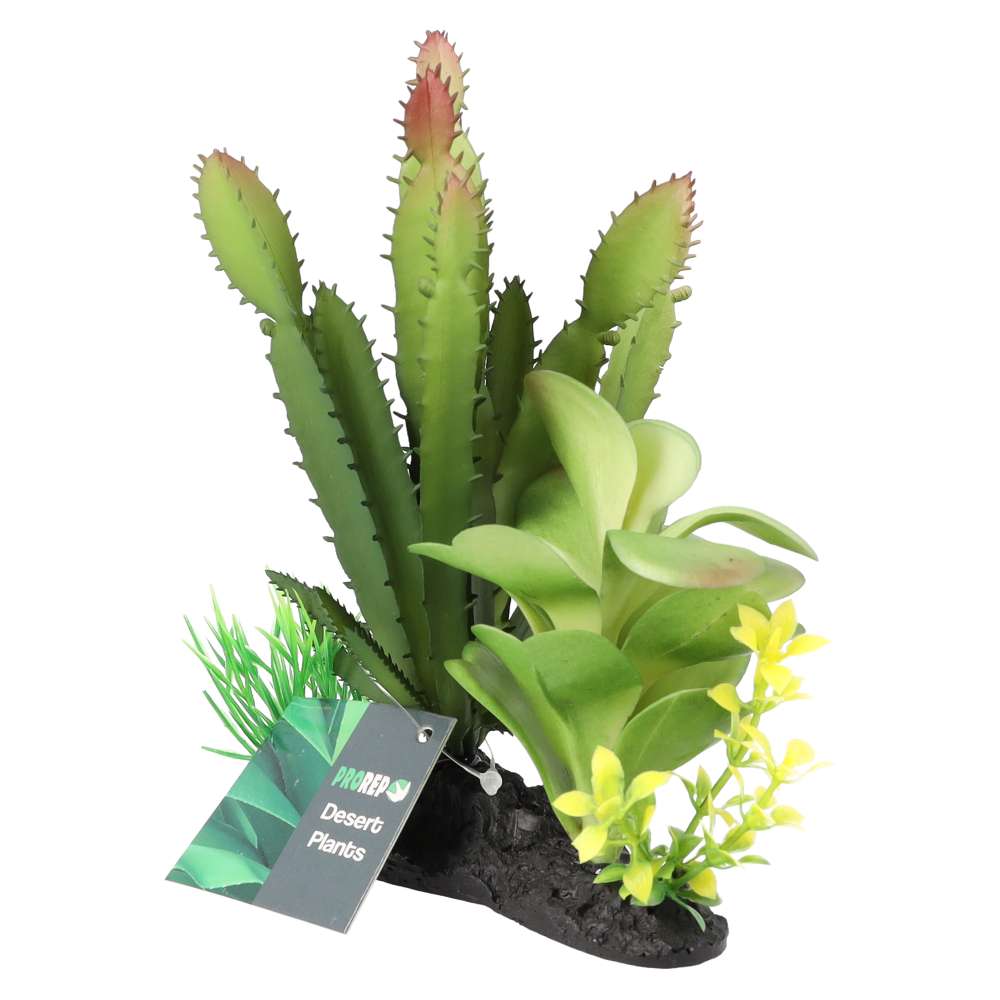 ProRep Artificial Euphorbia Plant on Log