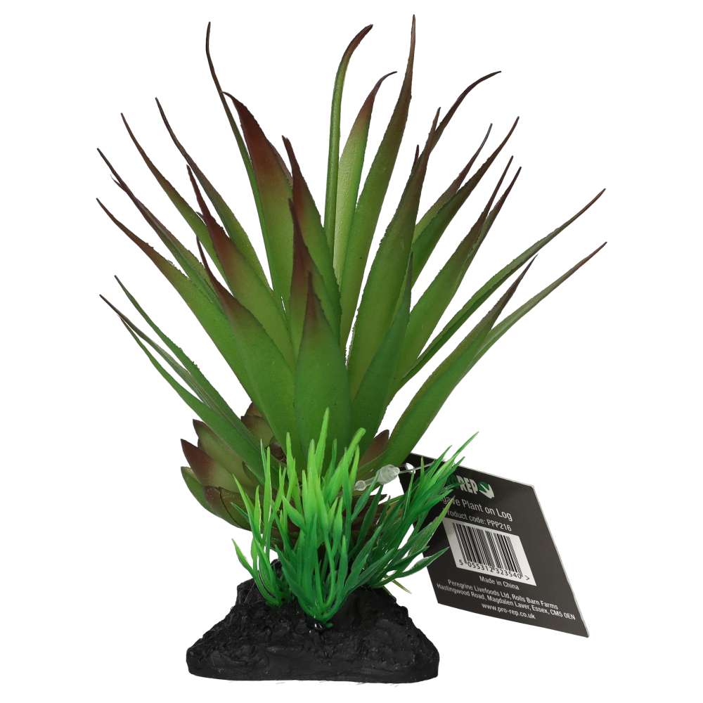 ProRep Articial Agave Plant on Log