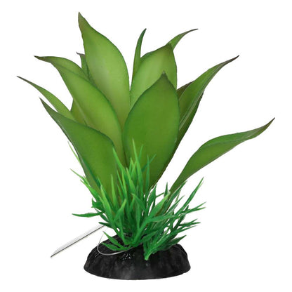 ProRep Sanseviria Plant