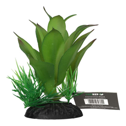 ProRep Sanseviria Plant