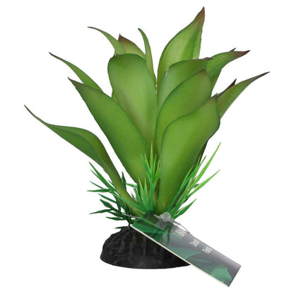 ProRep Sanseviria Plant