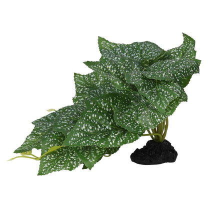 ProRep Terrestrial Begonia Polka Dot