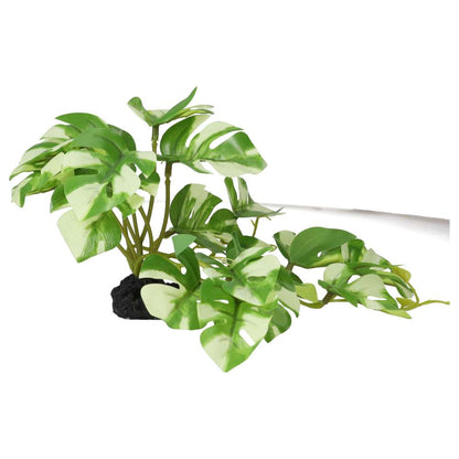 ProRep Terrestrial Gardenia Variegated 14cm