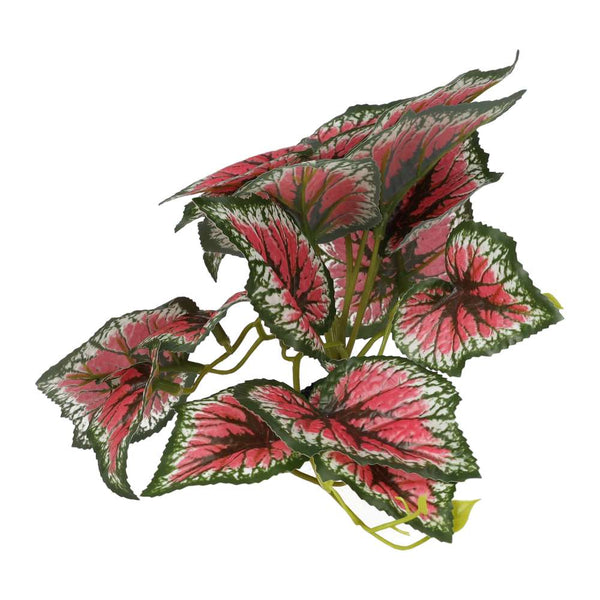 ProRep Terrestrial Begonia Salsa