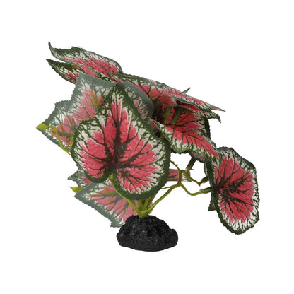 ProRep Terrestrial Begonia Salsa