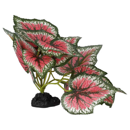 ProRep Terrestrial Begonia Salsa