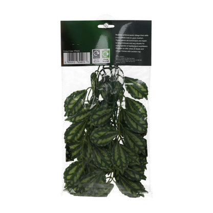 ProRep Watermelon Peperomia Silk Hanging Plant
