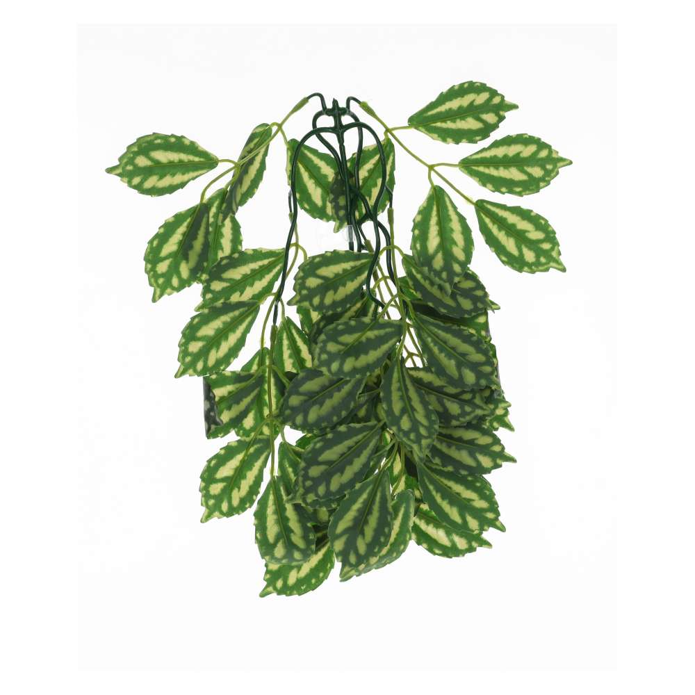 ProRep Watermelon Peperomia Silk Hanging Plant