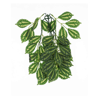 ProRep Watermelon Peperomia Silk Hanging Plant