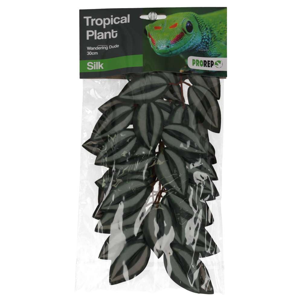 ProRep Wandering Dude Silk Hanging Plant