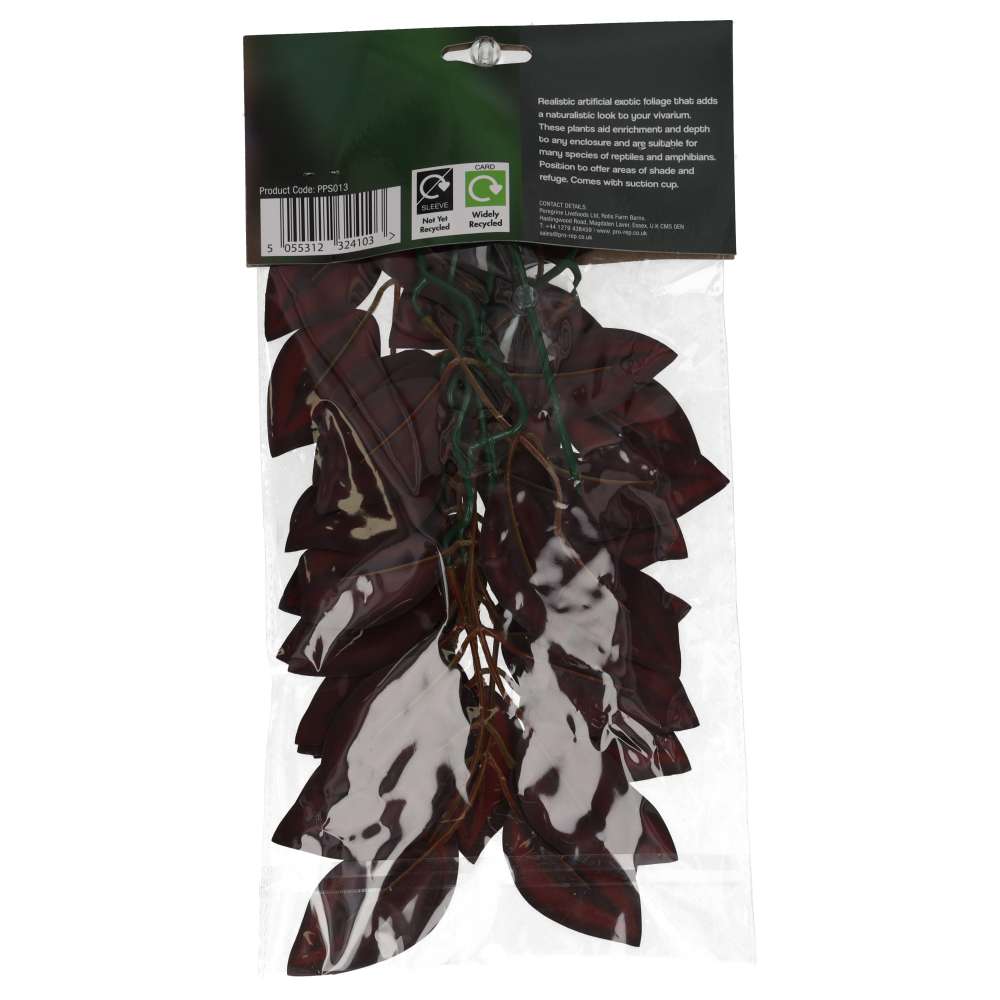 ProRep Wandering Dude Silk Hanging Plant