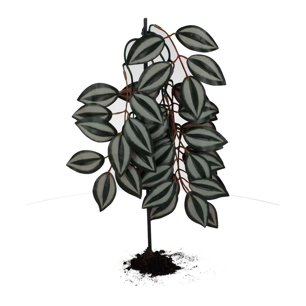 ProRep Wandering Dude Silk Hanging Plant