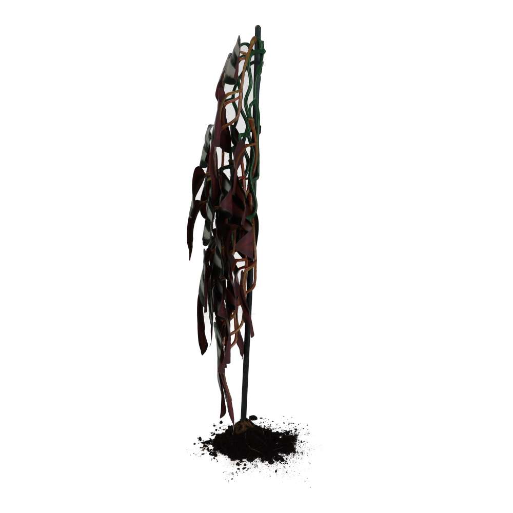 ProRep Wandering Dude Silk Hanging Plant