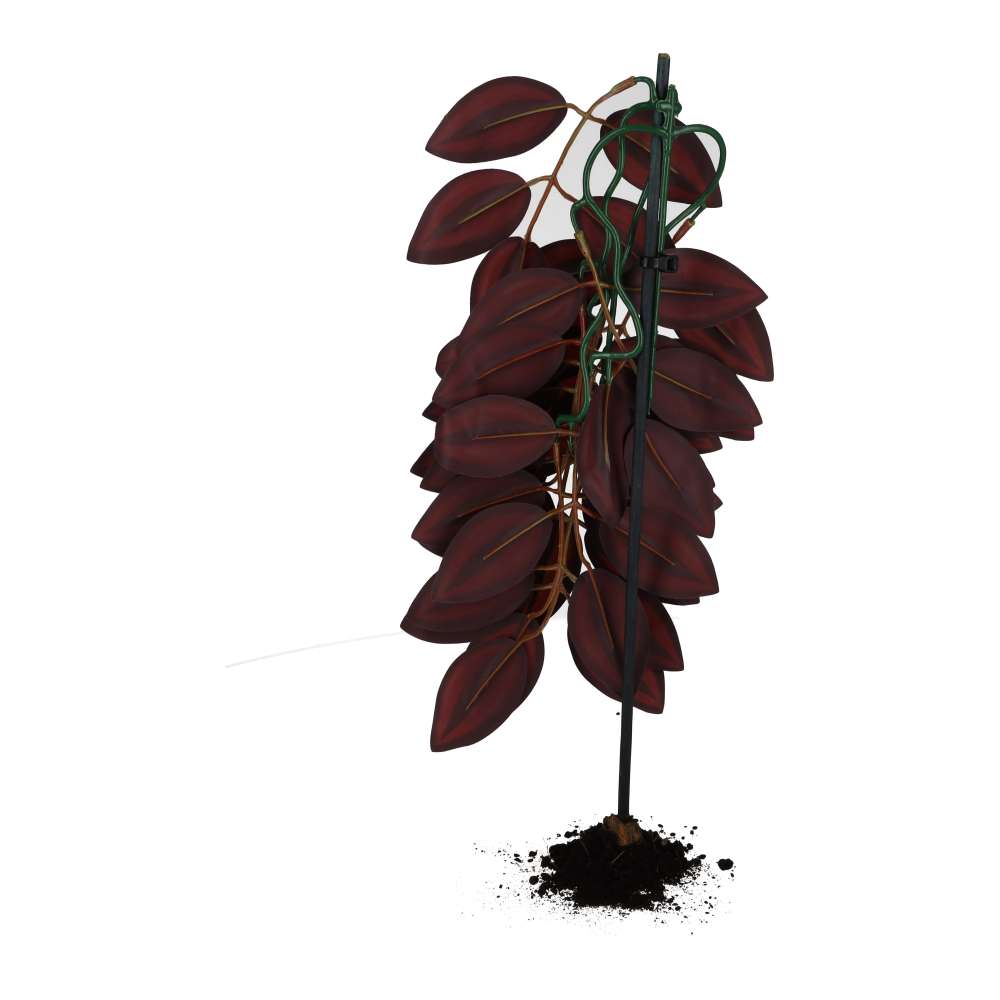 ProRep Wandering Dude Silk Hanging Plant
