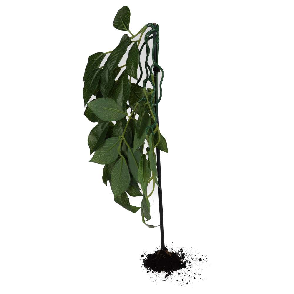 ProRep Weeping Fig Silk Hanging Plant