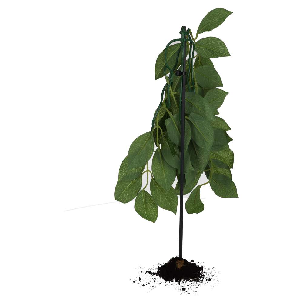 ProRep Weeping Fig Silk Hanging Plant