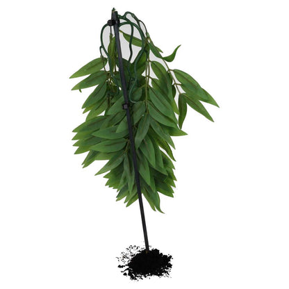 ProRep Bamboo Silk Hanging Plant