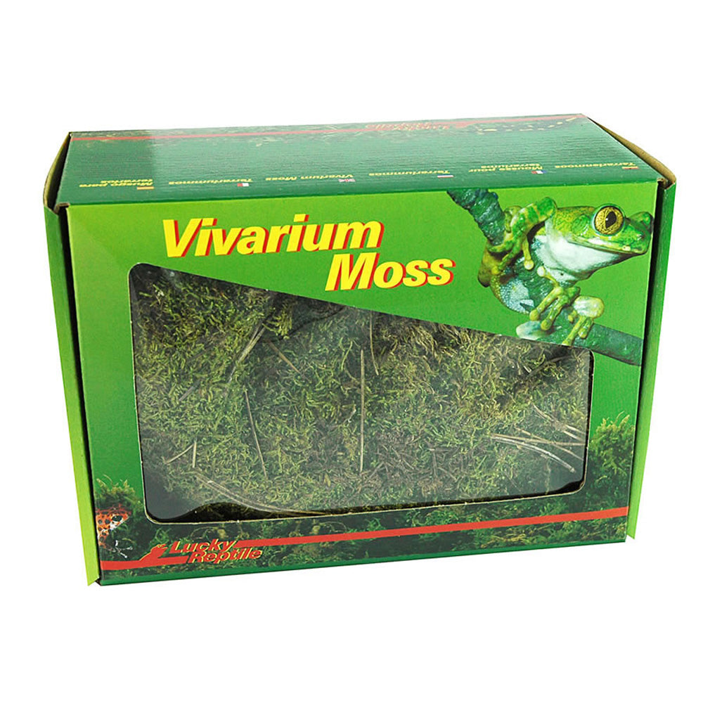 Lucky Reptile Dry Vivarium Moss 150g | Terrarium Decoration & Humidity