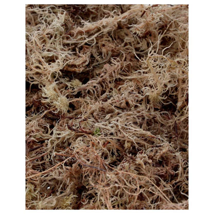 ProRep Live Moss