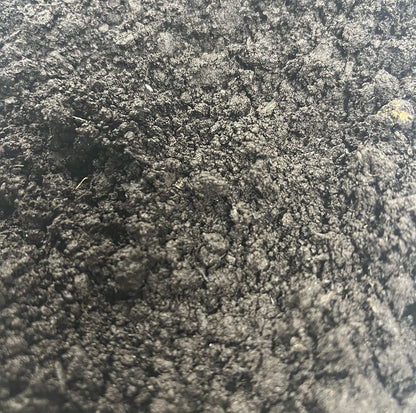 ProRep Sedge Peat
