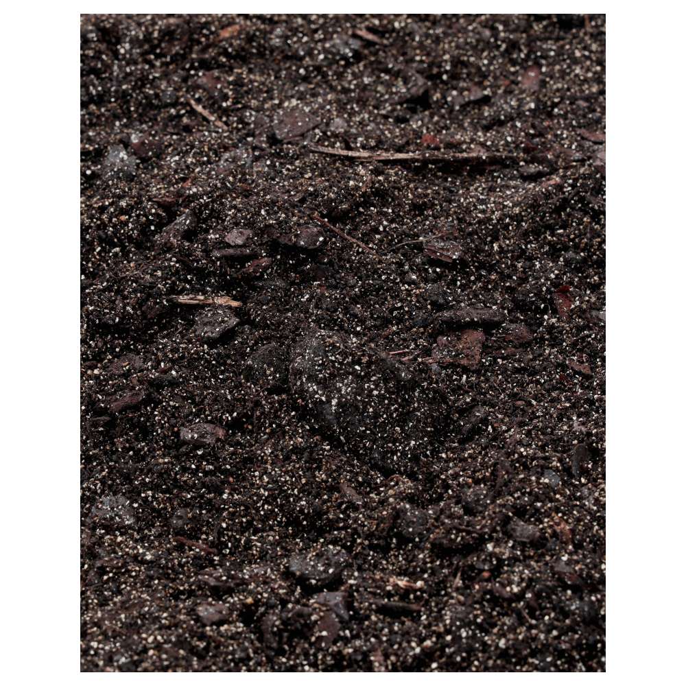 ProRep Spider Life Substrate