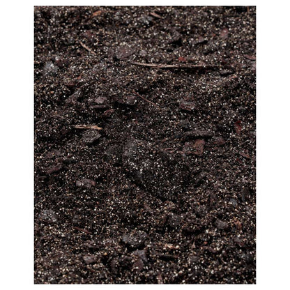 ProRep Spider Life Substrate