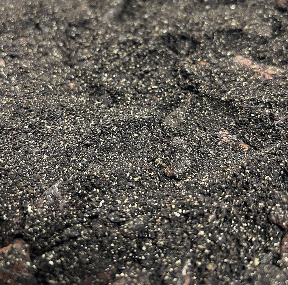 ProRep Spider Life Substrate