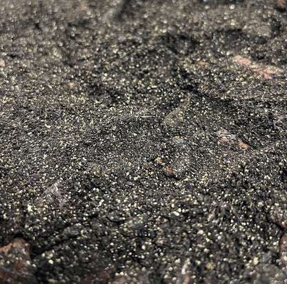 ProRep Spider Life Substrate