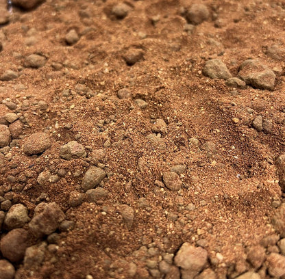 ProRep Beardie Life Substrate