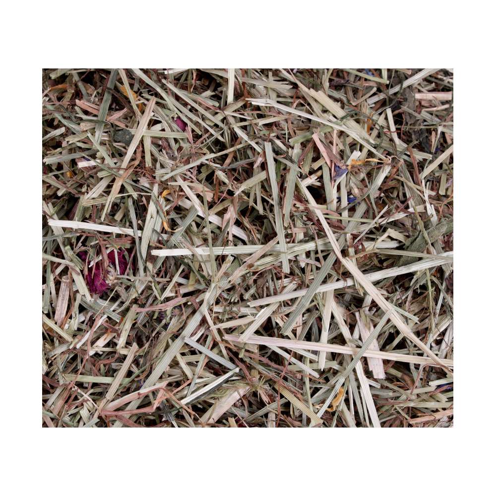 ProRep Tortoise Life Edible Substrate
