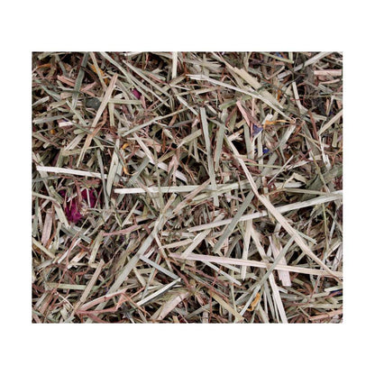 ProRep Tortoise Life Edible Substrate