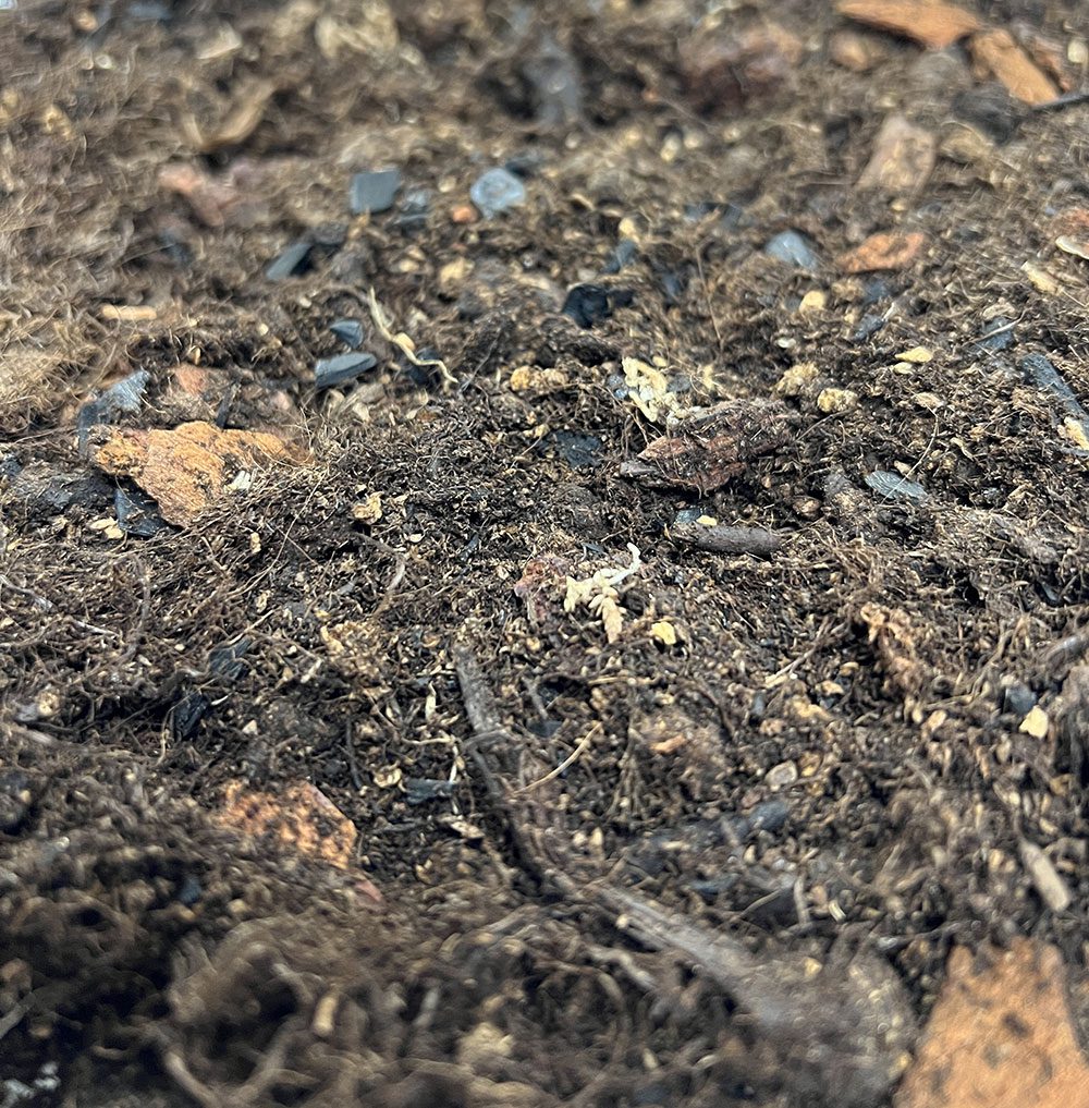 ProRep Bio Life Forest Substrate