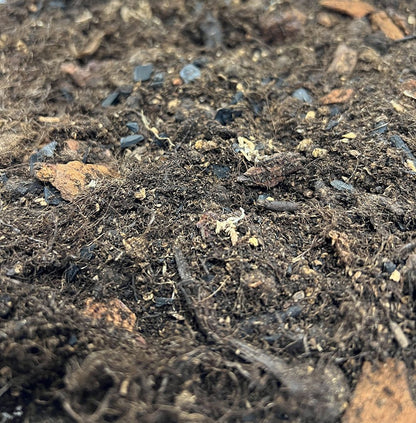 ProRep Bio Life Forest Substrate